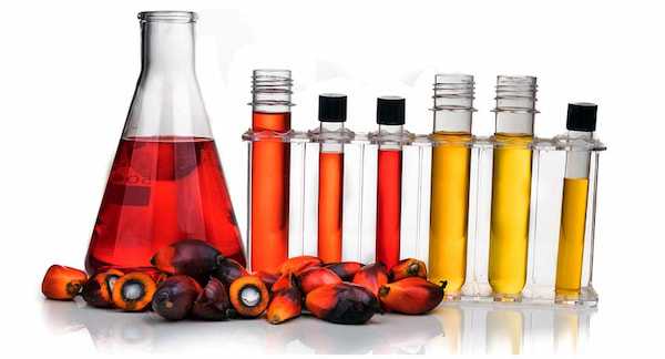 تصویر 1 از خرید روغن هسته خرما ارگانیک + قیمت فروش استثنایی